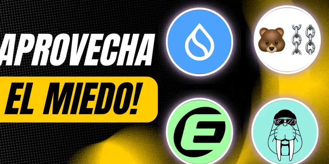 Cómo Ganar en Crypto que Otros Ignoran